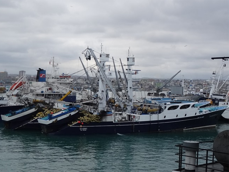 Rising Costs Squeeze Ecuador’s Tuna Processors