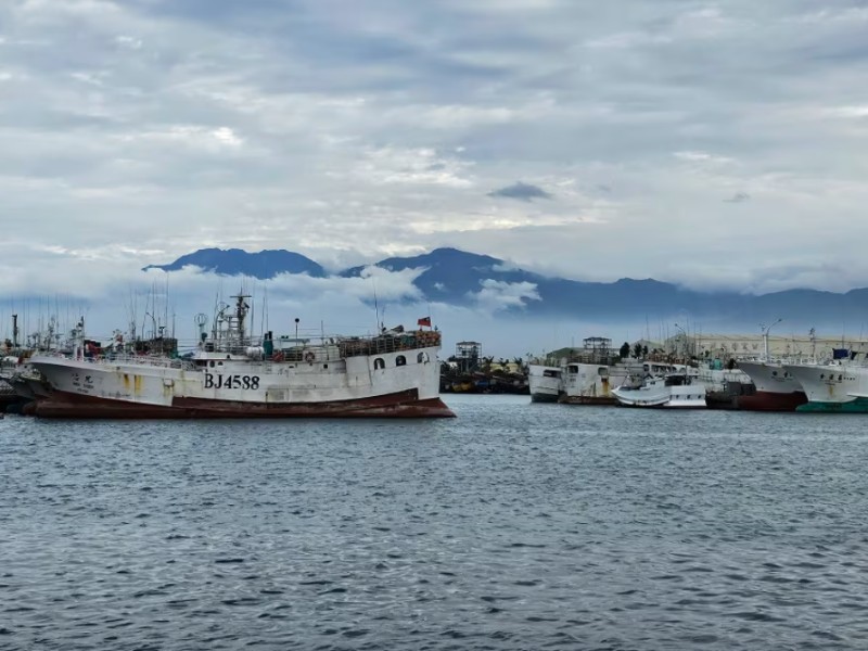 Study Finds Illegal Tuna Trade Thrives On Weak Oversight