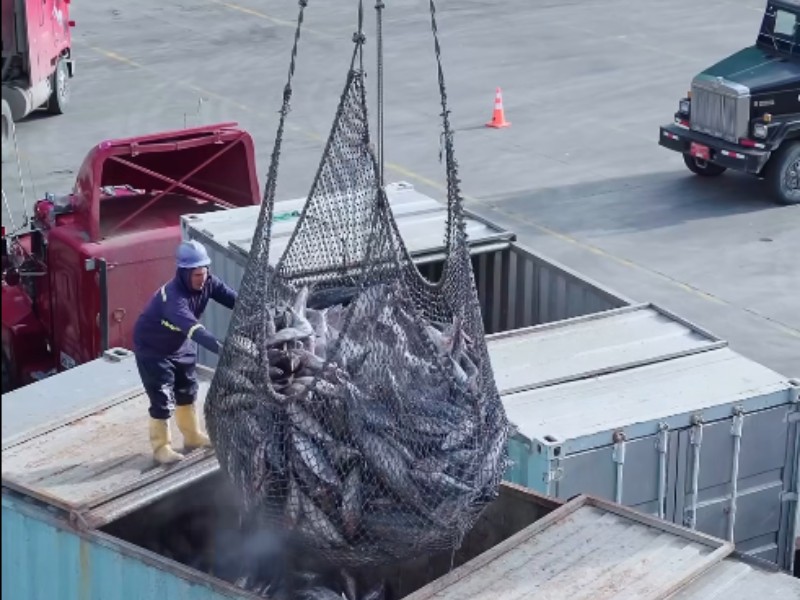 Will IATTC Reduce Annual Tuna Fishing Closure Days?