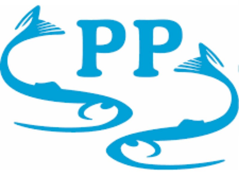 Financial Details Emerge On Parlevliet Family’s PP Group Buyout