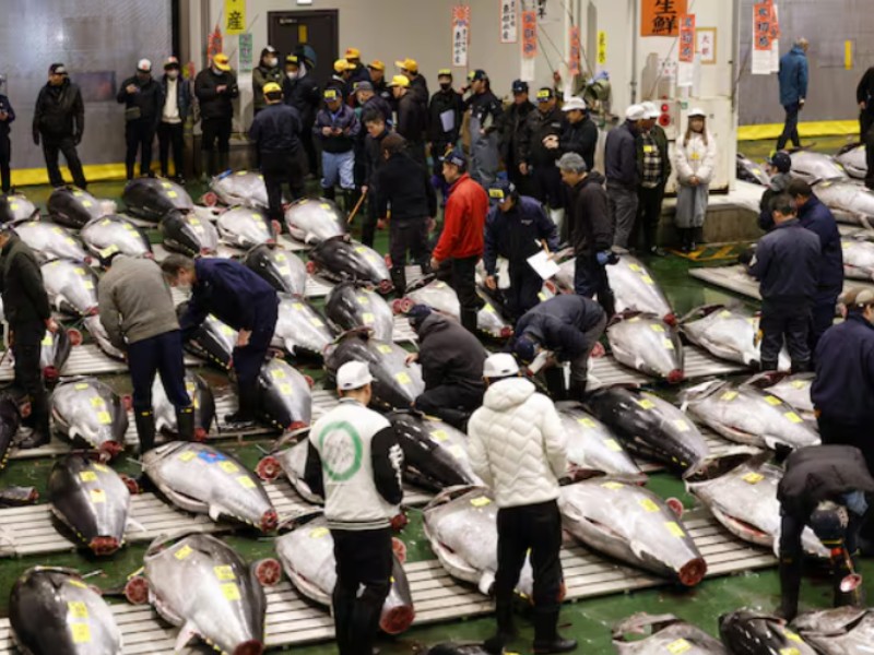 Japan Criticizes Mexico For Blocking Tuna Quota Raise