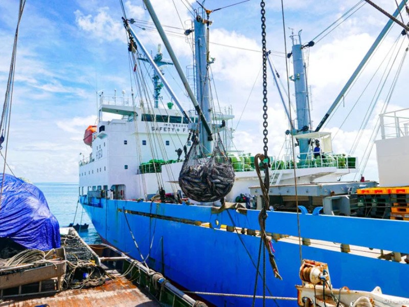 Port State Measures Remain Uneven Among WCPFC Members
