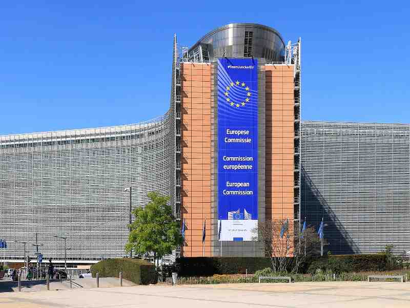 EU Advisory Group Calls For CATCH System Improvements