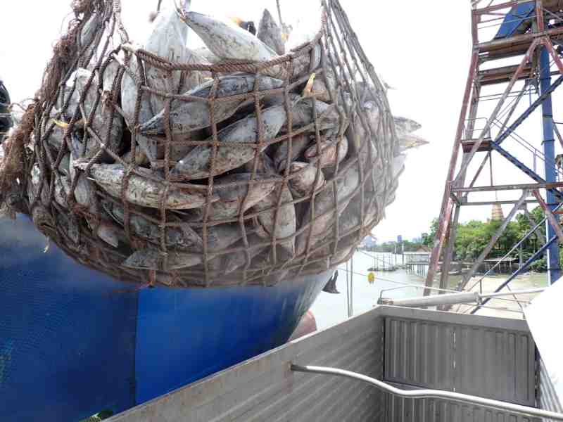Thailand Skipjack WR Imports See Sourcing Change