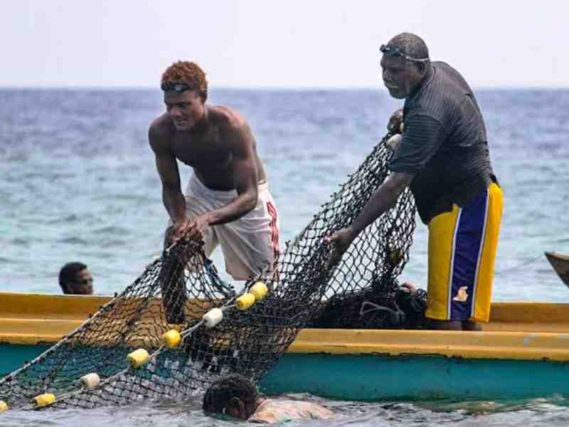 Warming Seas Threaten Livelihoods Of Solomon Islands Tuna Fishers