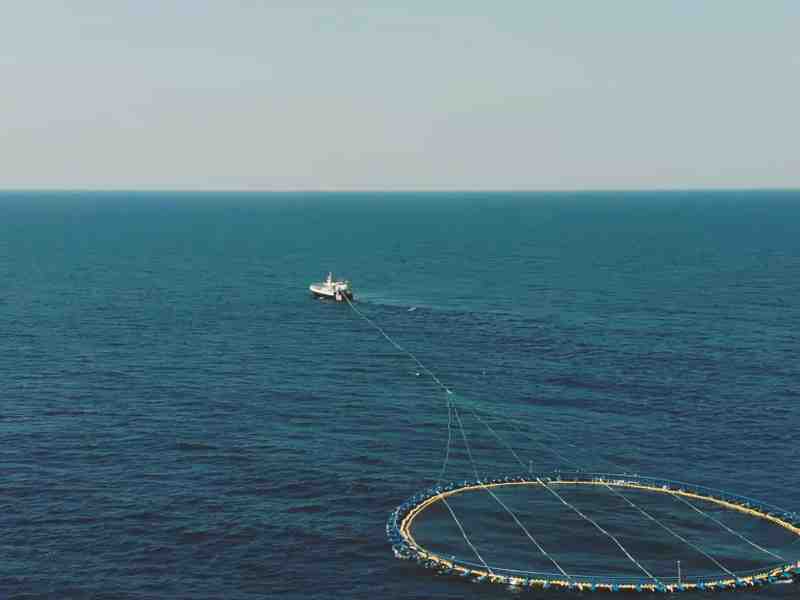 Ricardo Fuentes Group Restructures Board Following Bluefin Controversy