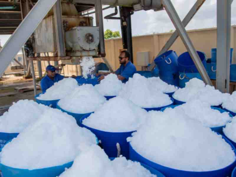Maldivian Yellowfin Fishermen Raise Concerns Over Reduced Ice Supply By MIFCO