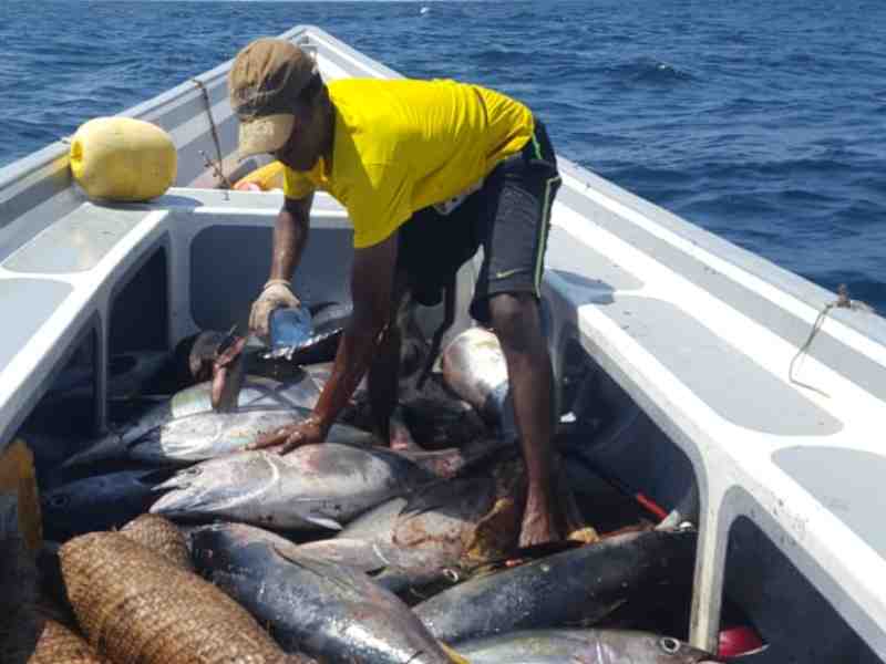 Kenyan Tuna Fleet Lands Record Haul As Skipjack Returns