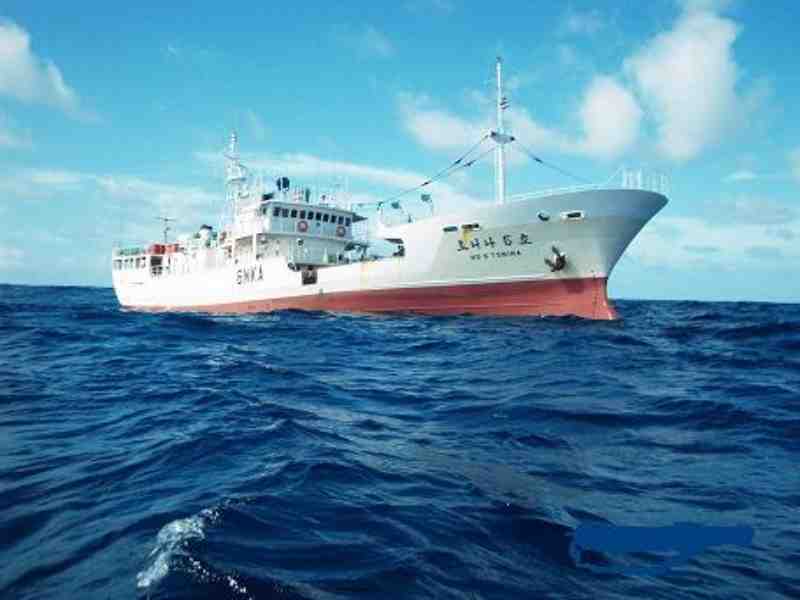 ISSF Report Finds Fishhold Capacity Heavily Concentrated In Large Longliners