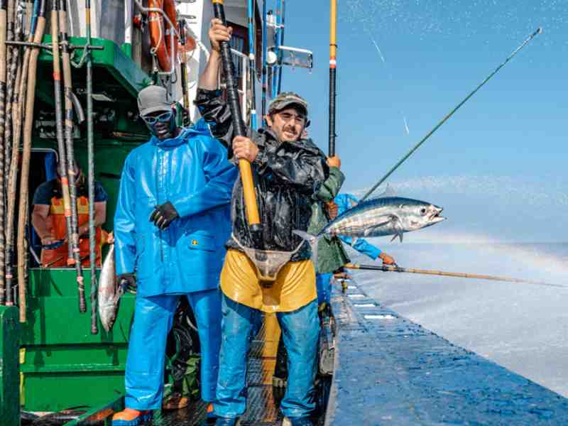 French Appetite For MSC Tuna Continues To Rise
