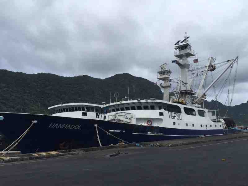 Two Major Tuna Fisheries Enter MSC Reassessment In WCPO