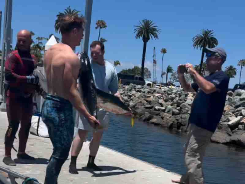 Sea Lion Steals Yellowfin From Fisher And Other Social Media Stories
