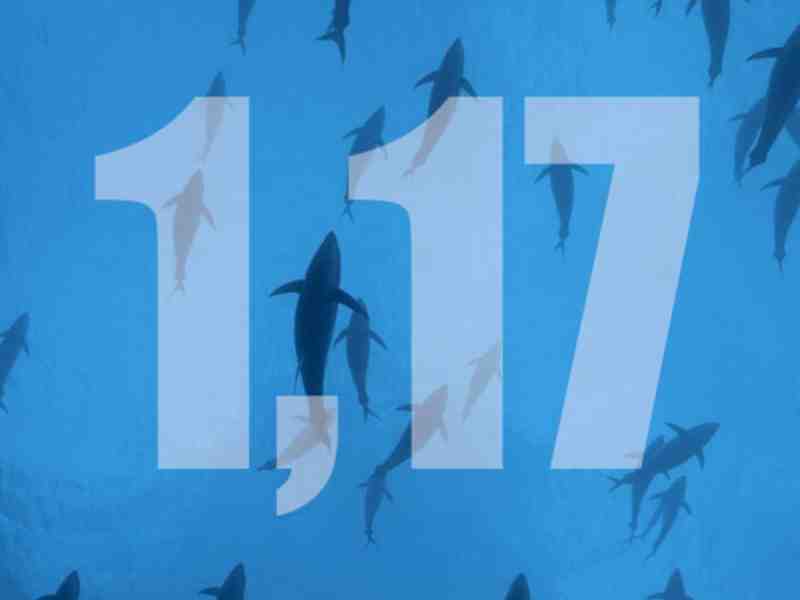 Documentary On Tuna Fishers’ Lives Wins Spanish Award