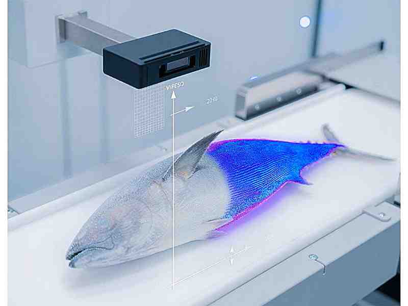 Infrared 3D Imaging Of Skipjack Improves Weight Estimation