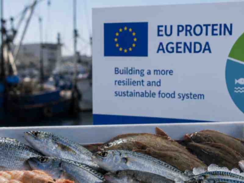 EU Must Include Tuna & Seafood As Part Of Protein Action Plan