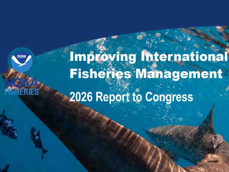 China Hits Back At NOAA Report Over Illegal Tuna Fishing