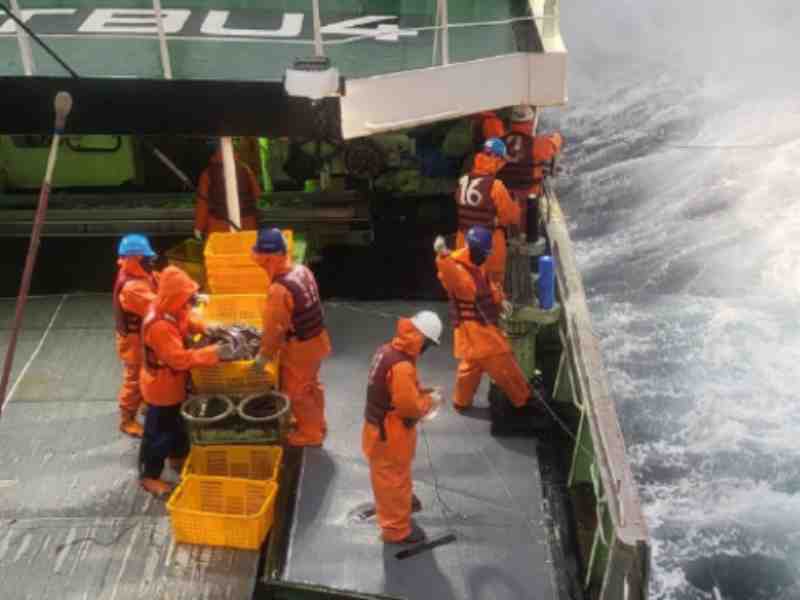 Sajo Boosts Compliance With Electronic Monitoring On Longline Fleet