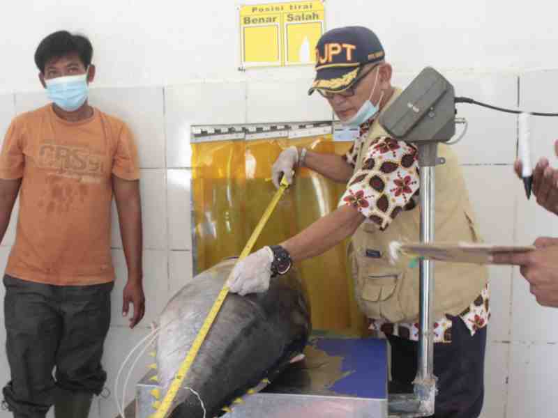Indonesia Seeks Stronger Fisheries Management To Maximize Japan Tuna Deal