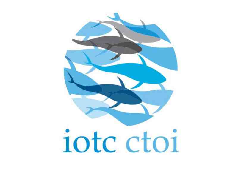India & Somalia Question Fairness Of IOTC YF Management Measure