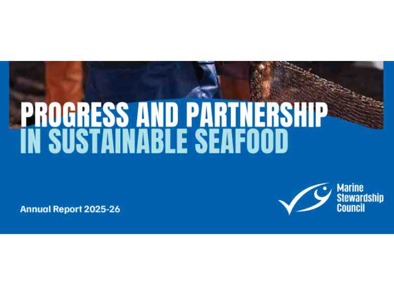 MSC Reports Sustainable Fishing Covers More Than Half of Global Tuna Stocks