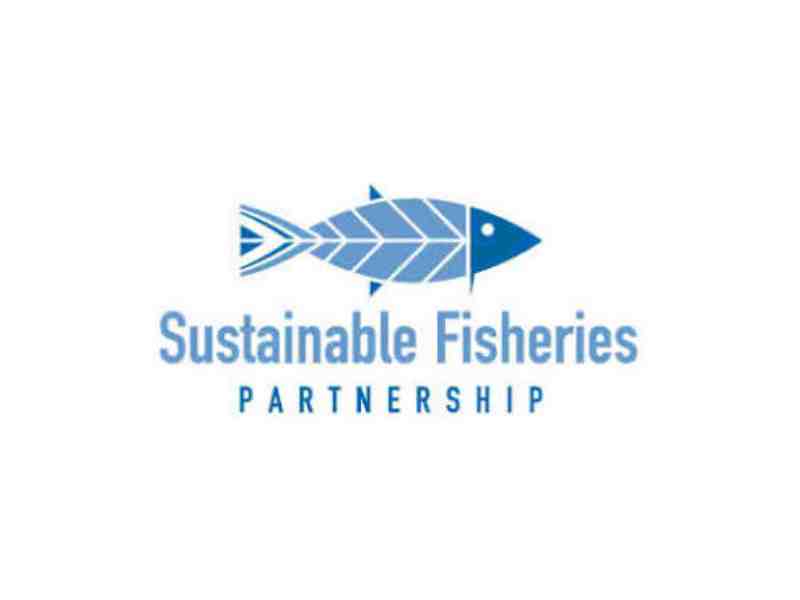 New Dashboard Offers Greater Visibility Into Tuna Supply Chain Risks