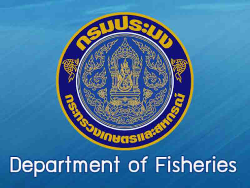 Thai Fisheries Dept Is Confident Tuna Sector Can Withstand US Tariff Blow
