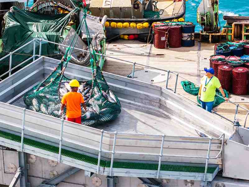 Tuna Loader Success Spurs Marshall Islands To Seek Second Unit
