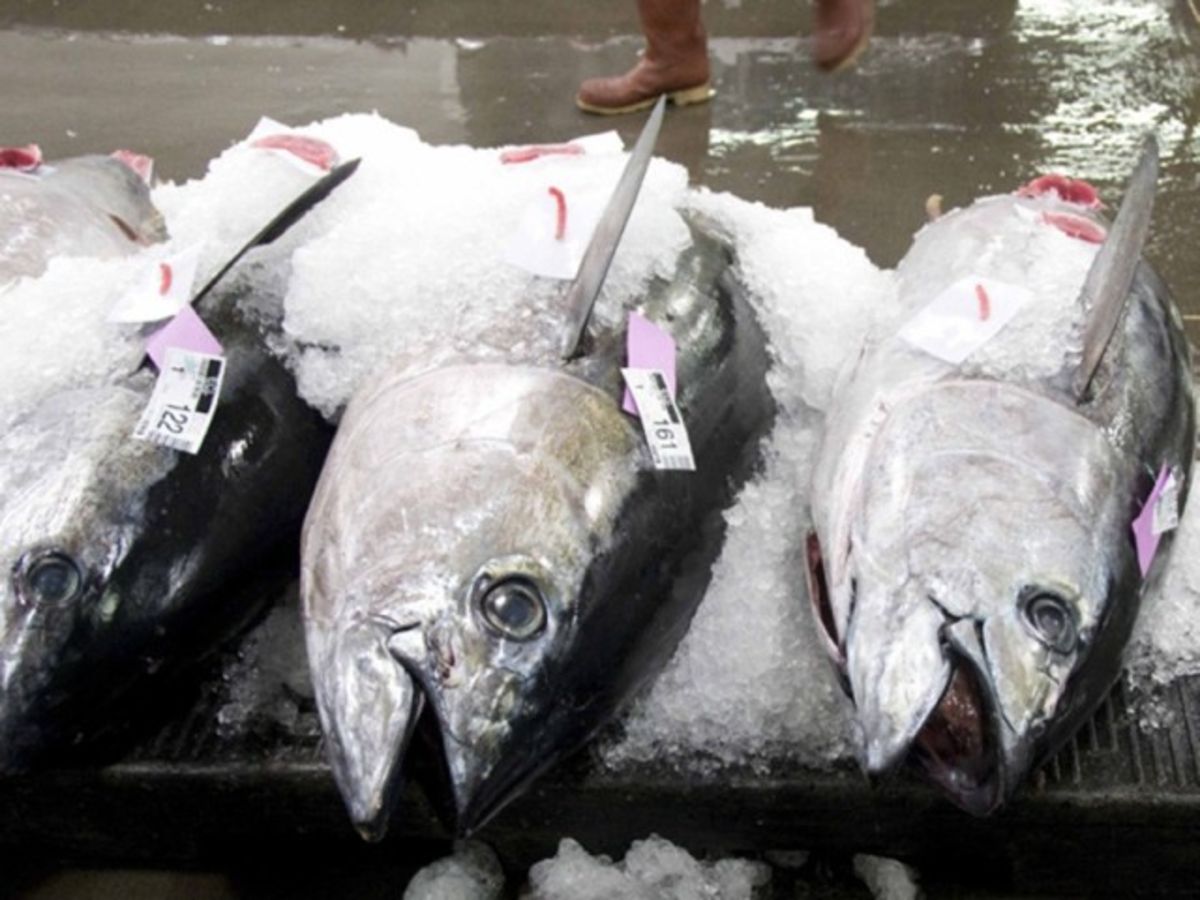 Meat Consumption Gains Ground In Japan As Fish Loses Dominance
