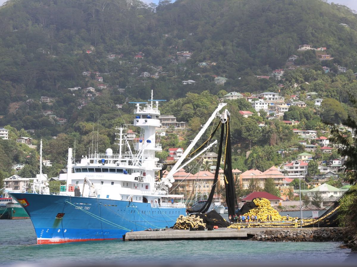 Indian Ocean Strong Skipjack Catch, but Price Edges Up