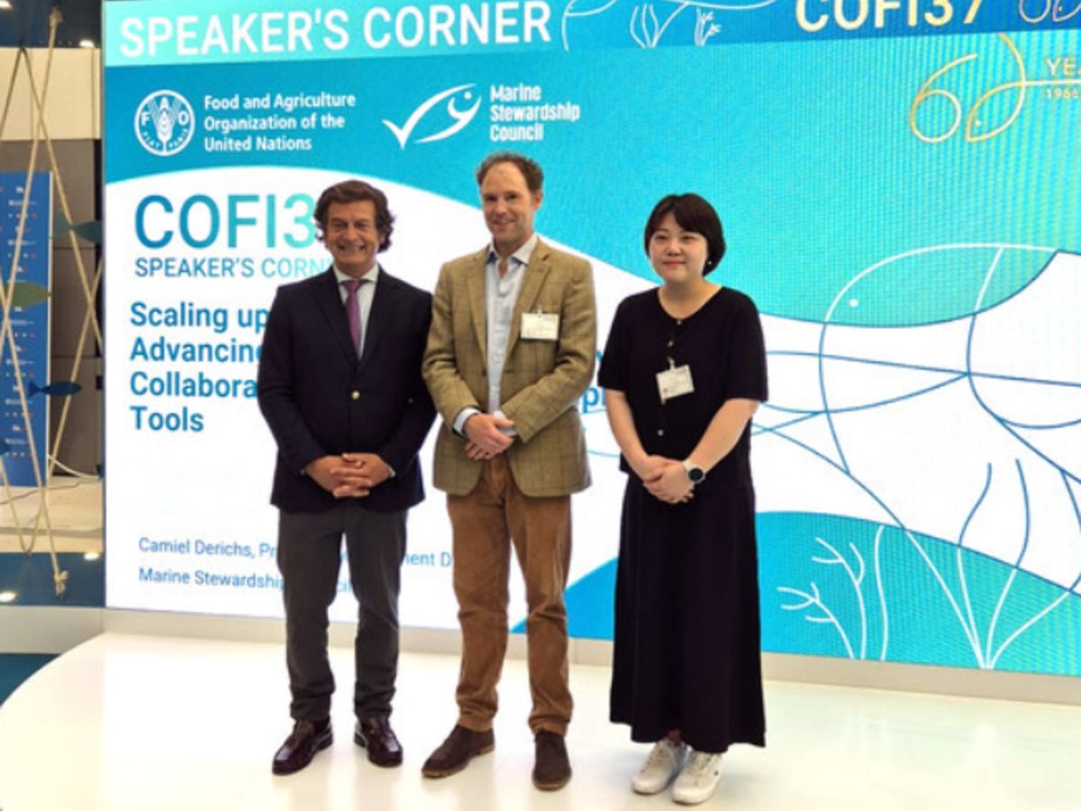 cofi-korea
