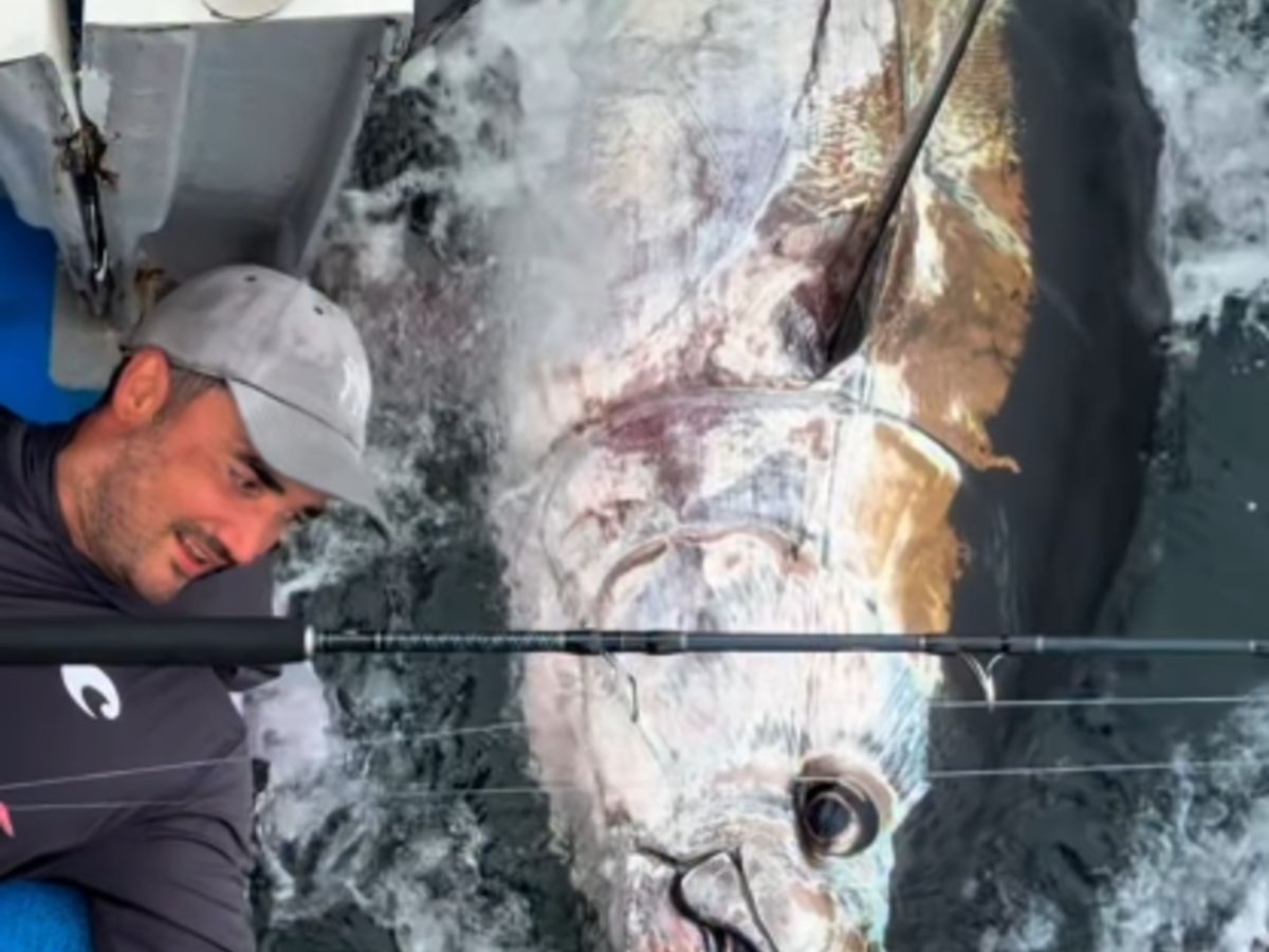 McConaughey’s Tuna Salad Recipe Resurfaces Online & Other Social Media Stories