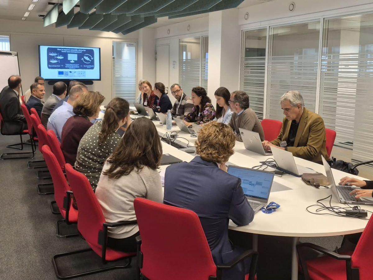 EU Project To Strengthen Tuna Stock Assessments Wraps Up