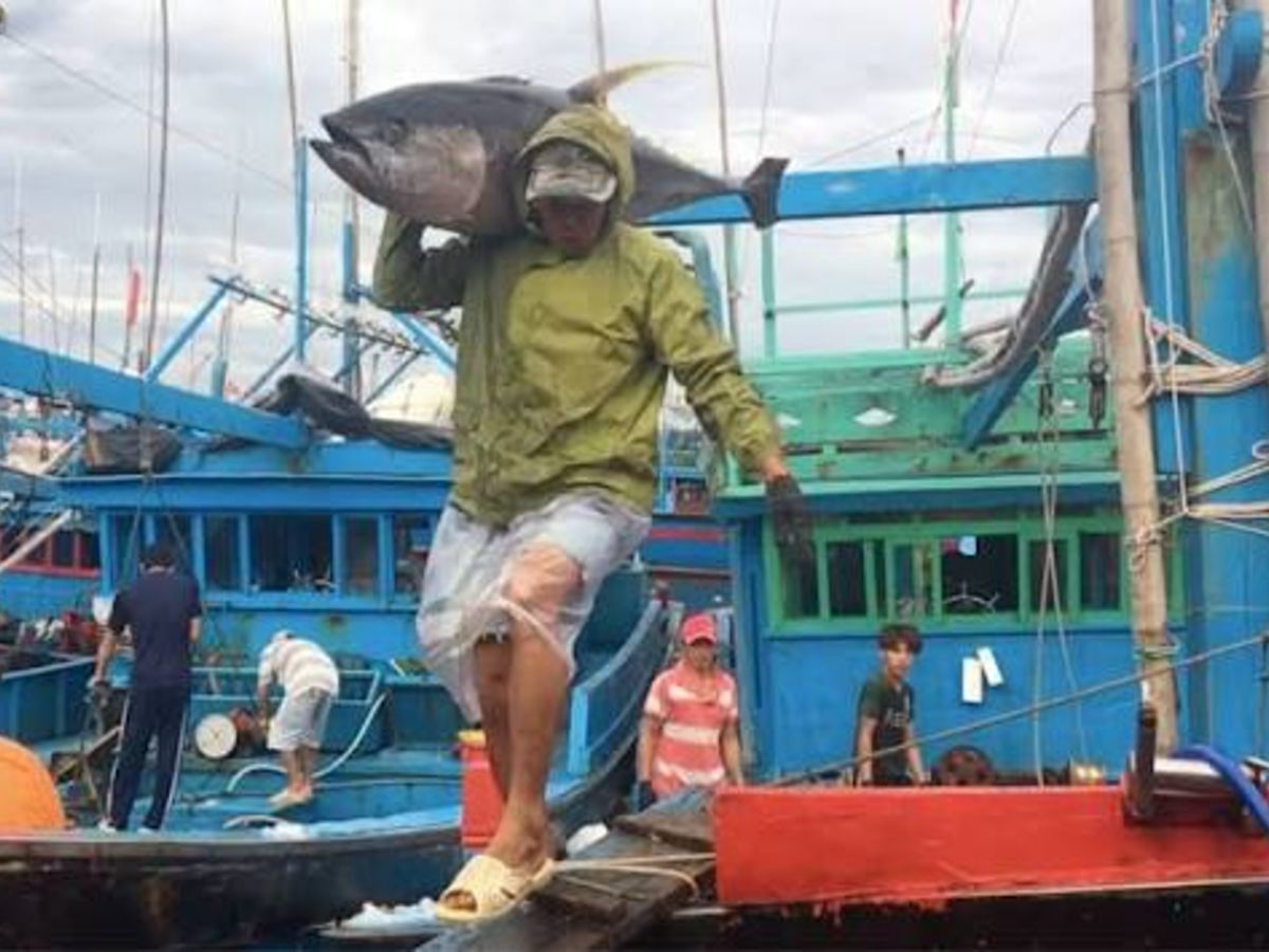 Poll: Will Vietnam Be Able To Get The EU Yellow Card Removed?